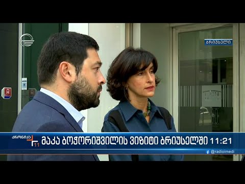 ევროინტეგრაციის კომიტეტის თავმჯდომარე, ევროპელ კოლეგებთან შეხვედრებს განაგრძობს